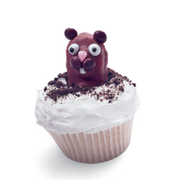 groundhog-day-cupcakes-recipe-photo-260-ff0203alm1a01
